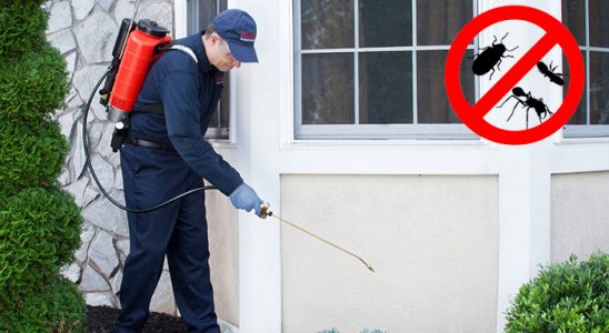 Karabağlar Dezenfeksiyon böcek ilaçlama ve haşere kontrolü — ilaclama-tr.com